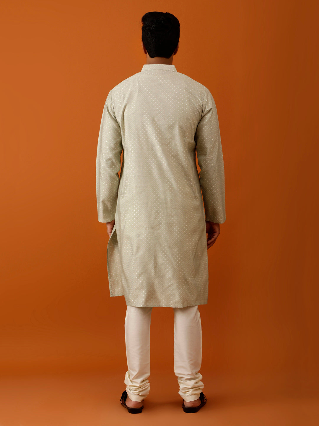 Long Kurta Chudidar Stunning Pastel Green